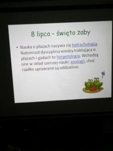 święto żaby 4